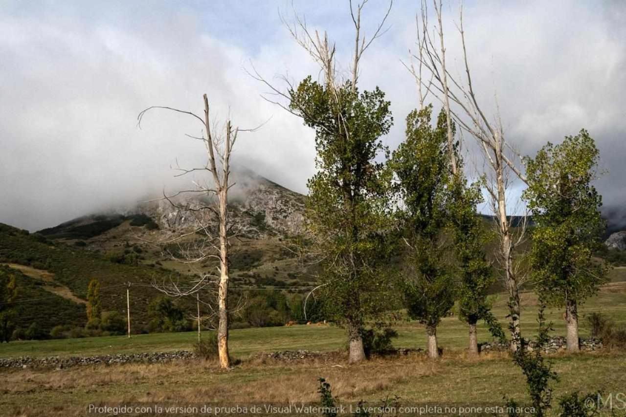 Holiday home La Parda Triollo